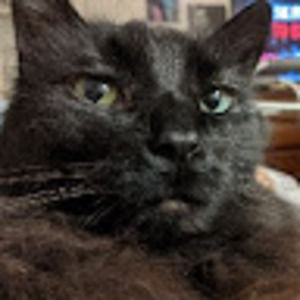 Meet your Posher, Jeremiah